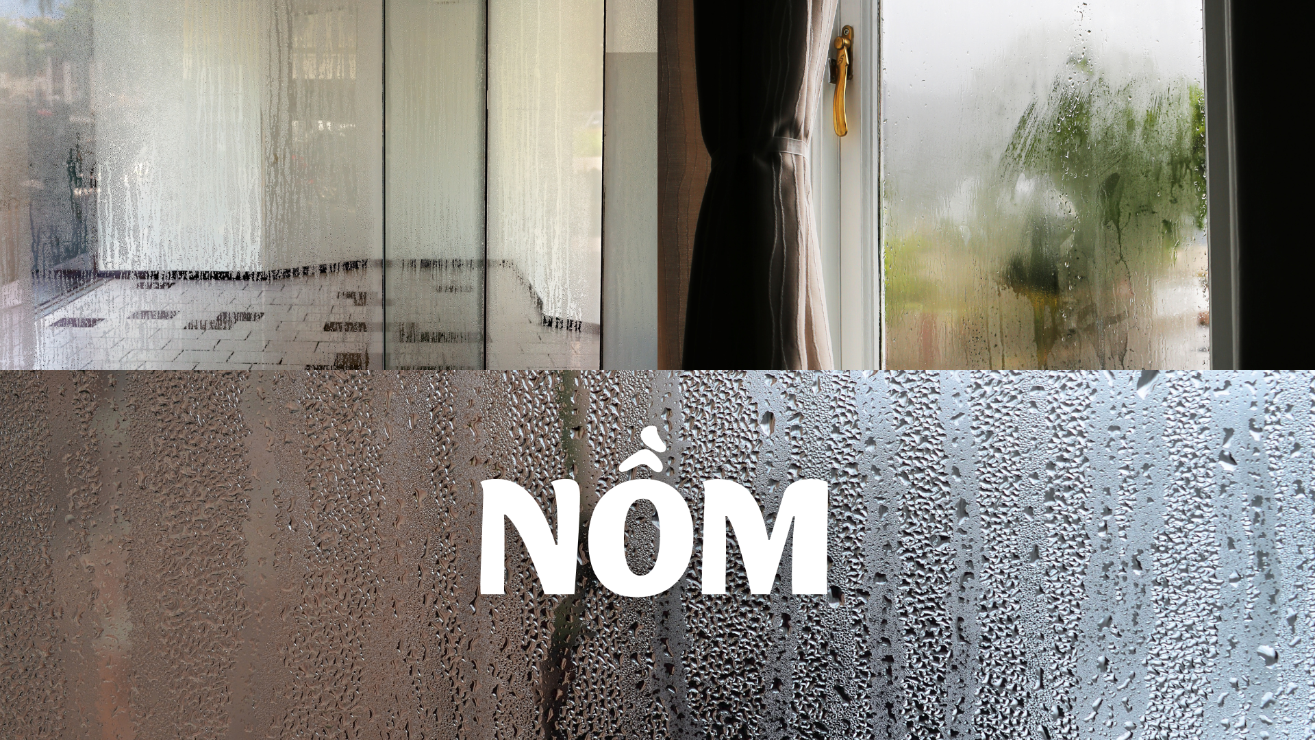nội thất nhựa nồm ẩm 